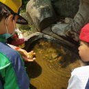 청미래약국 이미지