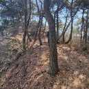 곡성-154 티스토리