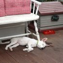 블루하임 이미지