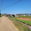 잠홍저수지 주차장 이미지