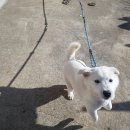 덕주경로당 이미지