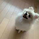 어린이아뜰리에A 이미지