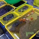 은광상회