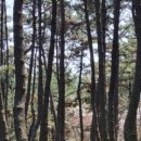 송림짬뽕 - 화성시 버들로 1023 | 송림짬뽕