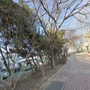 늘품조경