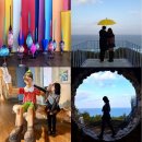 시그니처영어2관영어교습소 | 강릉여행 가볼만한곳 포토존가득 하슬라 아트월드