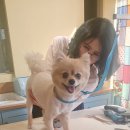 예뿌개 네이버블로그