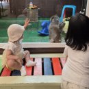 옥수풀빌라 | 가평 여행/가평 아이랑/레이키푸이스토/아침고요가족동물원/가평여행코스/엄마랑아이랑여행