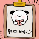 뭉티의 하루 이미지