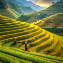 Mu Cang Chai Vietnam 베트남 북부 무 창 차이 계단식 논 이미지