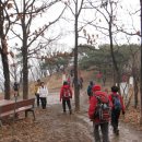 꼬꼬상회 이미지