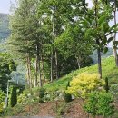 글래드성형외과의원 이미지