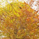 세화여자중학교 이미지