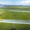 유인농장 이미지