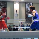 광주화랑권투 이미지