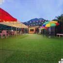 블링독 | 강아지랑 데이트 남양주애견카페 블링독793