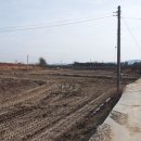 미양면사무소 이미지