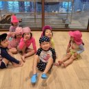 설리반어린이집 이미지