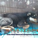 하성로 이미지