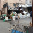 바른개 생활 이미지