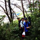 뉴팔레스빌