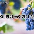 4월13일(목) 약속의 땅에 들어가기 전에! 이미지