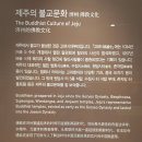 서귀동 천지연 생수궤 | 국립제주박물관 2편(상설전시실, 무료로 비 오는 날 갈만한 곳, 제주 실내관광지)