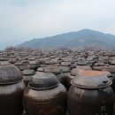 동화농원