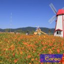 예당습지생태공원 이미지