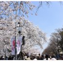 여의서로 이미지