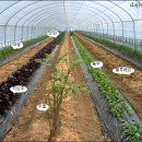 순이하우스 이미지