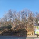 망포초교-3구간 | 용인 석성산 등산 초보 코스 추천! 470m 3구간 동백동주민센터 출발 5구간초당마을입구 도착