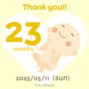 소울당구장 | 태교일기ㅣ임신 20주차 ~ 23주차 기록 (임신 중기)