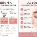 고운빛