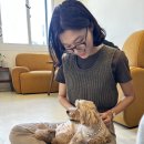 종로-종로-종로-종-125 | 겨울이 더 오기 전에 가을을 소화하자!