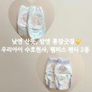엔젤어린이집 | 흡수력 좋은 낮밤기저귀 추천 / 팸퍼스 엔젤브리즈,통잠팬티 리얼 사용 후기