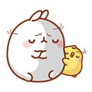 한라상사