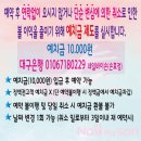 네일바이손