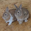 달콤체육관 이미지