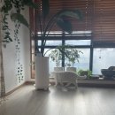 저스트인필라테스 | 대구중구요가 저스트휴요가 아쉬탕가 후기