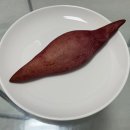 202501 취업 할래말래? 할래말래? 애매하긴해