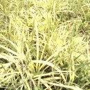 고향농장 이미지