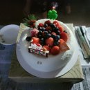 콩알이의 일상 #39