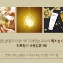 민테라피 네이버블로그