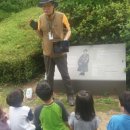 해법 행정사사무소 이미지