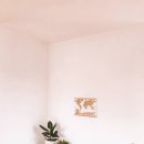 그루디자인 이미지