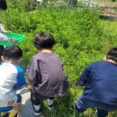 아가페어린이집 이미지