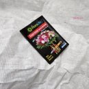 해바라기문고 | 해바라기가 재물운을 불러온다고?! | 고흐 해바라기 꽃꽂이 후기