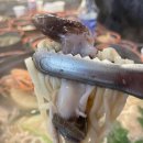 여수새조개 행운무궁화 이미지