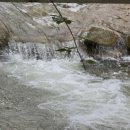 전주고덕펜션 이미지